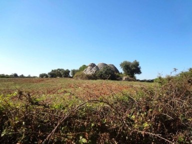 Trullo Unnamed Road, Martina Franca