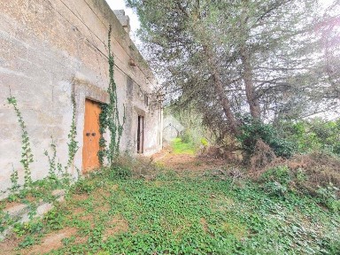Rustico Contrada cardinale, Manduria