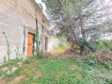 Manduria, Contrada cardinale