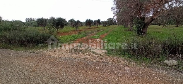 Manduria, Contrada Schiavone