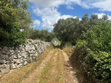 Martina Franca, Strada Capo Di Gallo