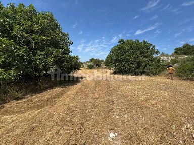 Grottaglie, Strada Comunale Paparazio, 43