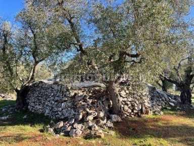Martina Franca, Strada Cuoco Zona 1