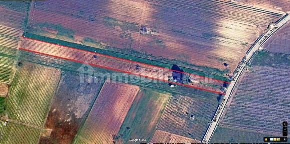 Rustico Sp94, Sava