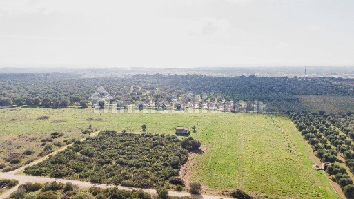 Rustico, da ristrutturare, 11080 m², Maruggio