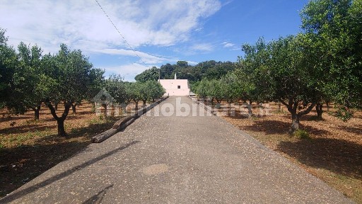 Martina Franca, C.DA BUCCI