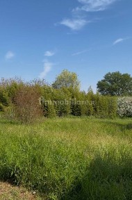 Terratetto unifamiliare Strada Argine Vecchio 29, Mirasole, San Benedetto Po