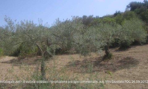 Appartamento all'asta Contrada MORANA., Chiaramonte Gulfi