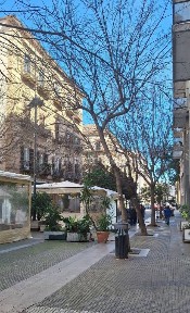 Locale commerciale in Affitto