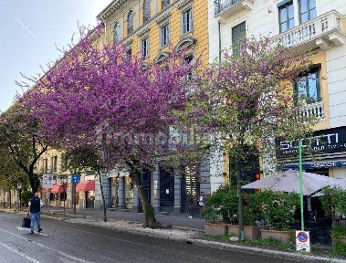 Monolocale via Pietro Calvi 3/A, Piave - Tricolore, Milano