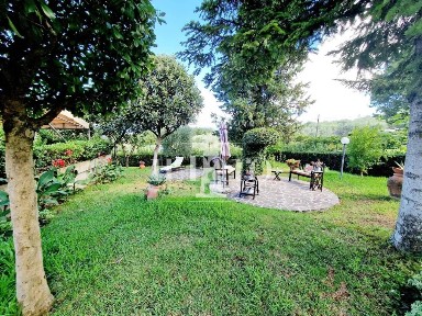 Signa, Via Cattani Cavalcanti
