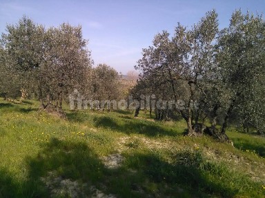 Terratetto unifamiliare 800 m², buono stato, Centro, Montaione