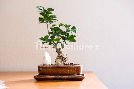 Terratetto unifamiliare 120 m², ottimo stato, Spicchio-sovigliana, Vinci