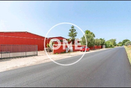 Aprilia, Campo di Carne - Pantanelle, Via Pantanelle, 26
