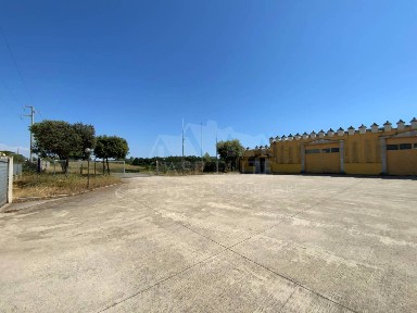 Capannone in Vendita