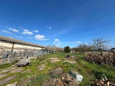 Aprilia, Torre del Padiglione - Carano, Via Torre del Padiglione, 73