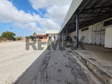 Sabaudia, strada migliara, 49