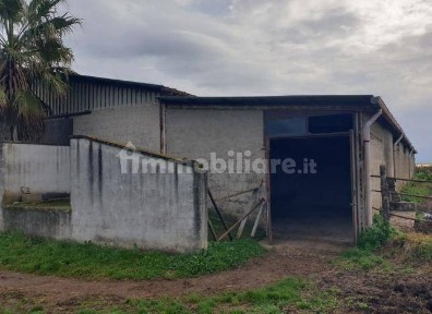 Capannone all'asta Strada dei Vigneti, Latina