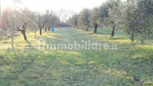 Capannone in Vendita