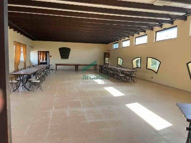 Locale commerciale in Affitto