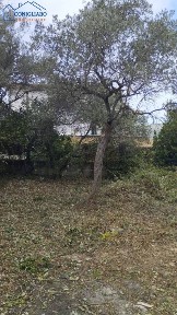 Rustico via Alexandros Panagulis, Torretta