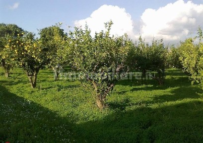 Rustico Ss 113 Ovest, Partinico, Partinico