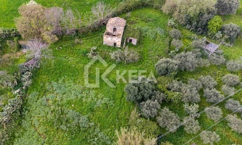 Rustico c.da Favara, Collesano