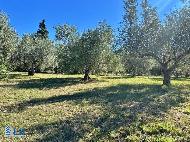 Ferentino