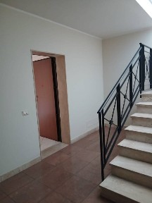 Pedara