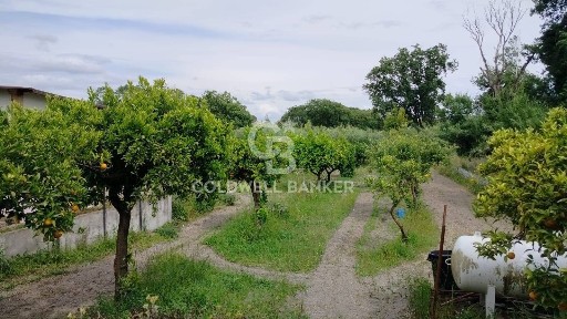 Terratetto unifamiliare via sambuco 457, Santi Cosma e Damiano