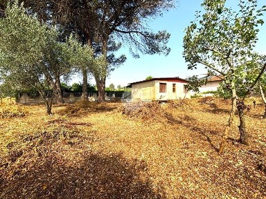 Terratetto unifamiliare Consorzio Arduino 1799, Sabaudia