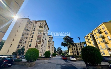 Quadrilocale viale Colli Aminei, Colli Aminei - Capodimonte, Napoli