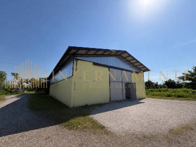 Piove di Sacco, Via Giovan Battista Svegliato