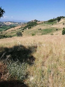 Capannone all'asta Contrada Solagna SNC, Montegiorgio