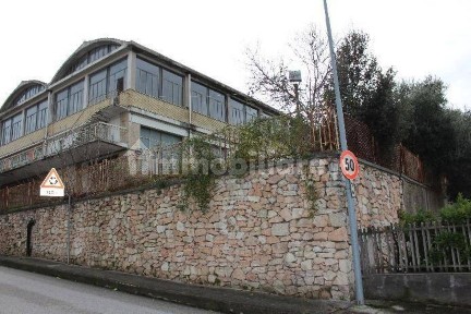 Capannone all'asta via Augusto Murri, Torre San Patrizio