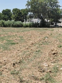 Capannone in Vendita