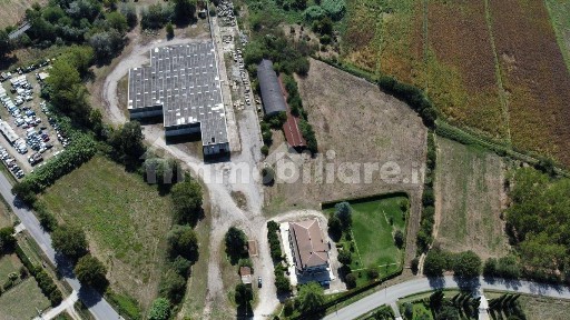Pignataro Interamna, Via Ravano, 7