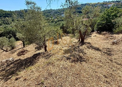 Magazzino - Deposito in Vendita