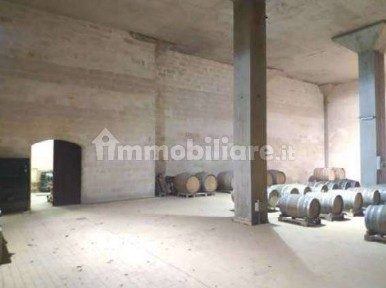 Azienda agricola all'asta Strada Comunale Due Trappeti, Galatina