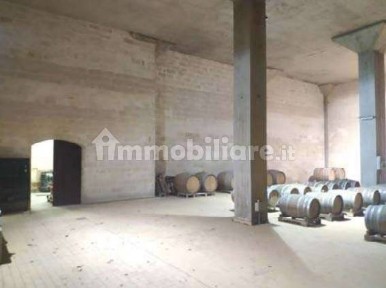 Azienda agricola all'asta Strada Comunale Due Trappeti, Galatina