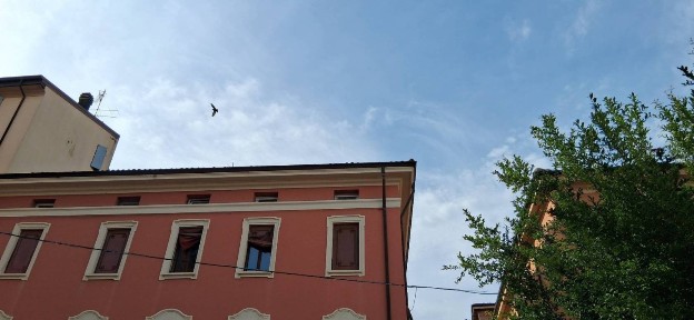 Mansarda buono stato, 60 m², Bazzano, Valsamoggia