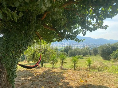 Alvignano