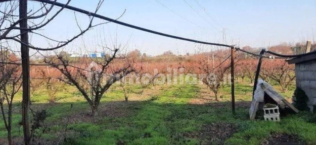 Casale Masseria Scassicci (Teano), Teano