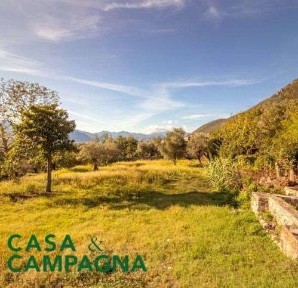 Capriati a Volturno, Strada Provinciale 330