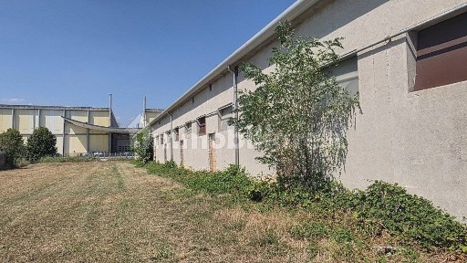 Magazzino - Deposito in Affitto