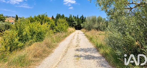 Petritoli, CONTRADA SOLAGNA, snc