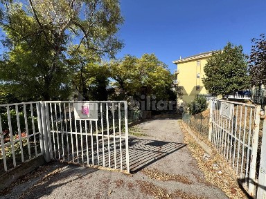 Magazzino - Deposito in Affitto