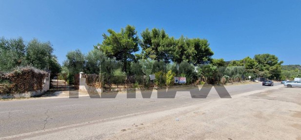 Vieste, Umbramare, 4