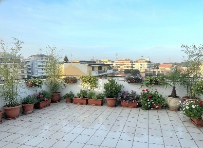 Attico via Luigi Marchetti, Pineta, Pescara