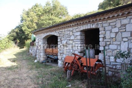 Rustico - casale all'asta Contrada Fonte Carbone null, Casacalenda